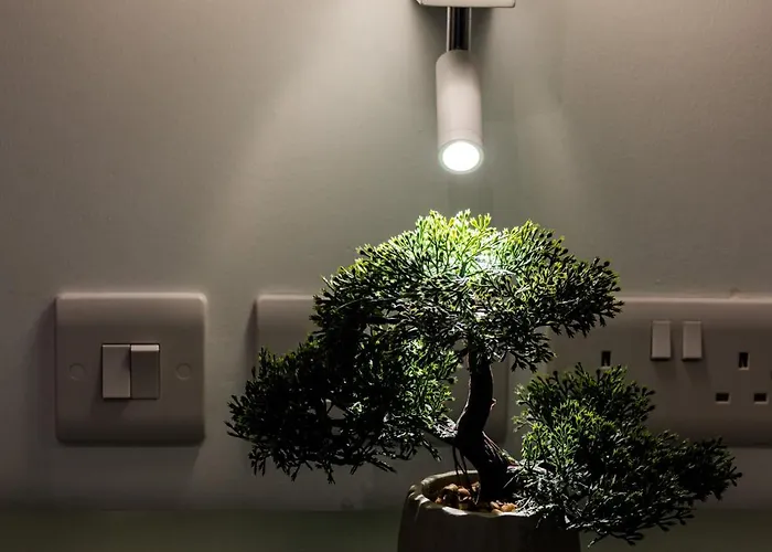 Brand New! Boutique Style Apartment